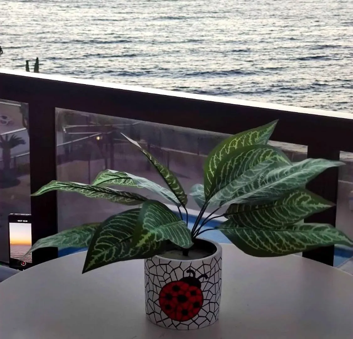 Ladybug Ocean View Apartment Costa Del Silencio Spain